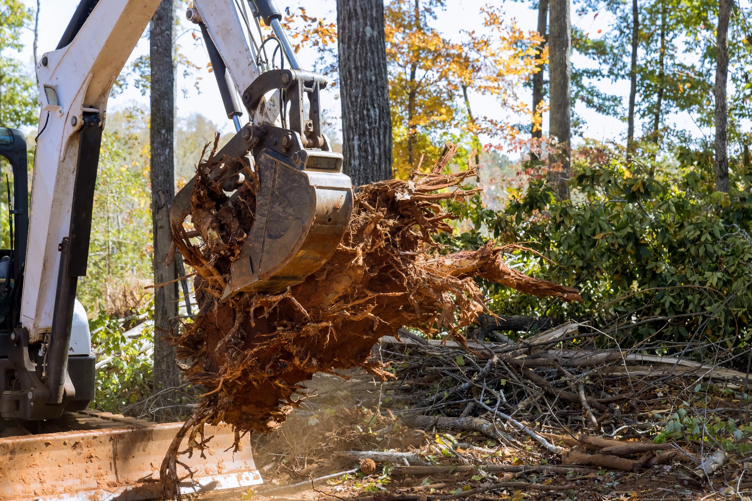 Our Land Services