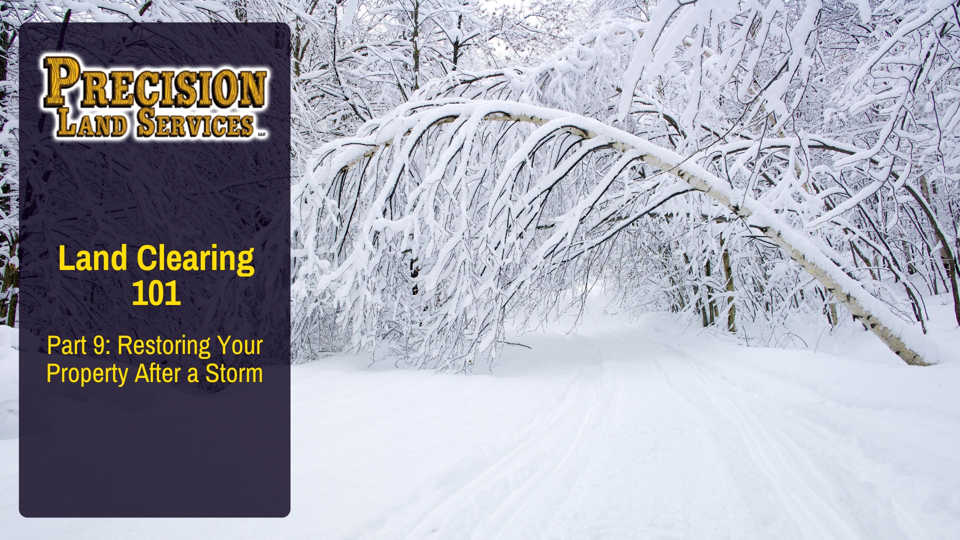 Part 9: Restoring Your Property After a Storm