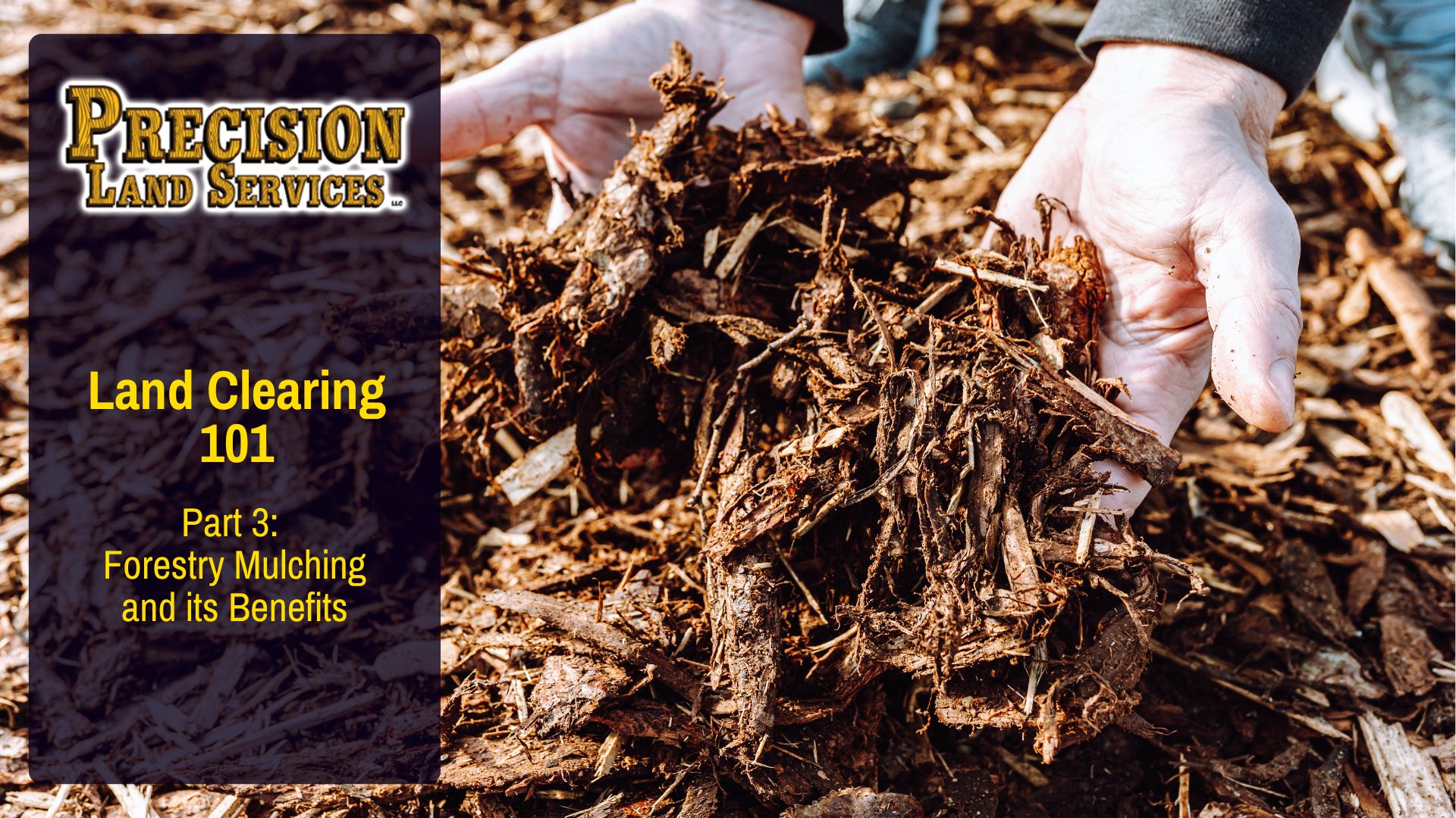 Part 3: Forestry Mulching and its Benefits