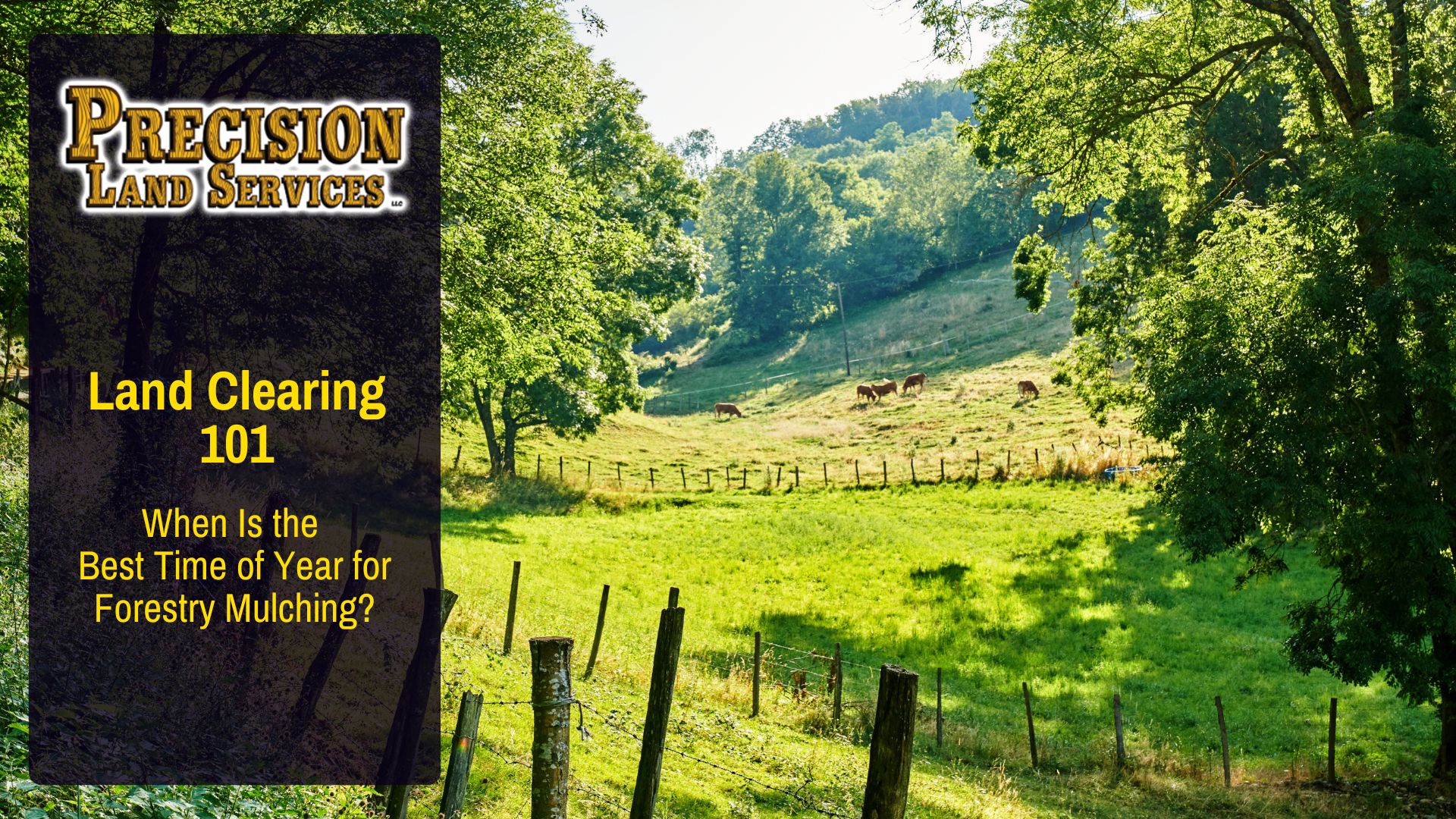 When Is the Best Time of Year for Forestry Mulching?